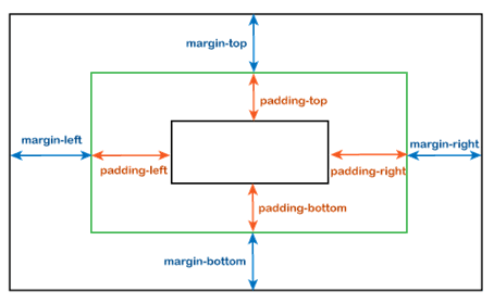 margin and padding